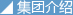集团介绍